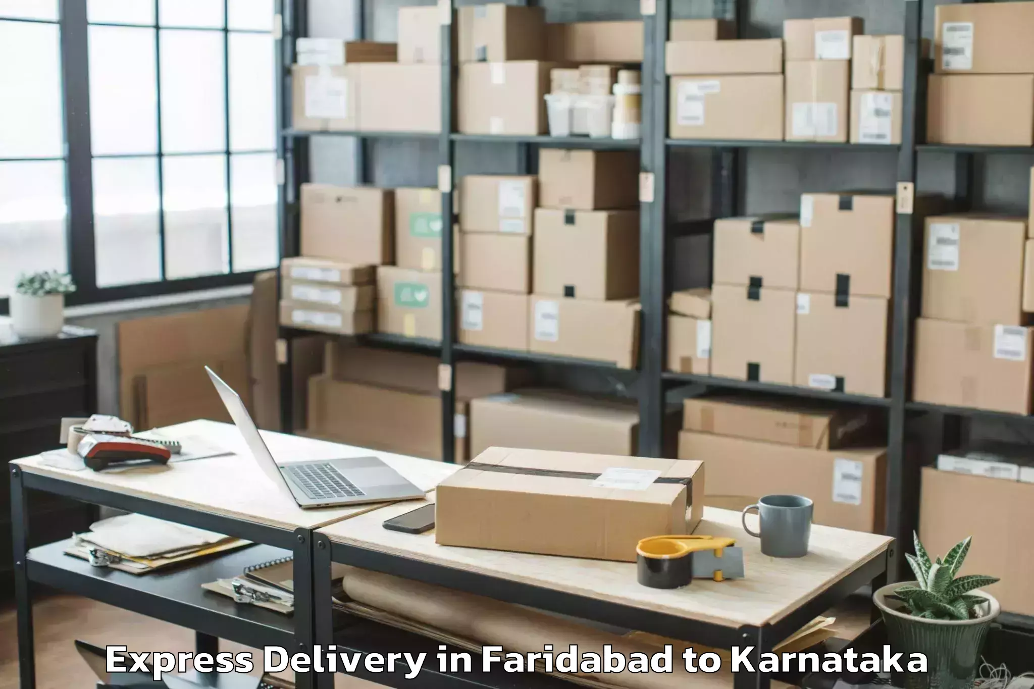 Leading Faridabad to Mysuru Airport Myq Express Delivery Provider